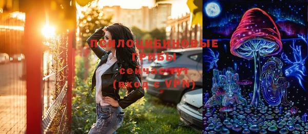 ALPHA PVP Куйбышев
