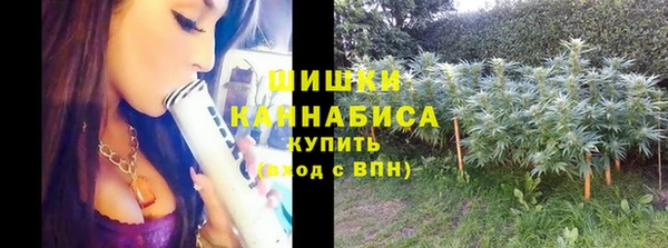 ALPHA PVP Куйбышев